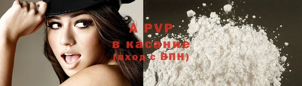 прущий лед Нея