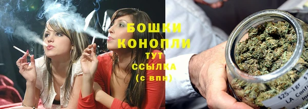 хмурый Нефтекумск