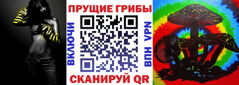 Галлюциногенные грибы Cubensis  продажа наркотиков  Чита 